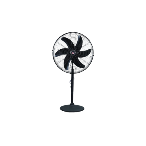 Pedestal Fan